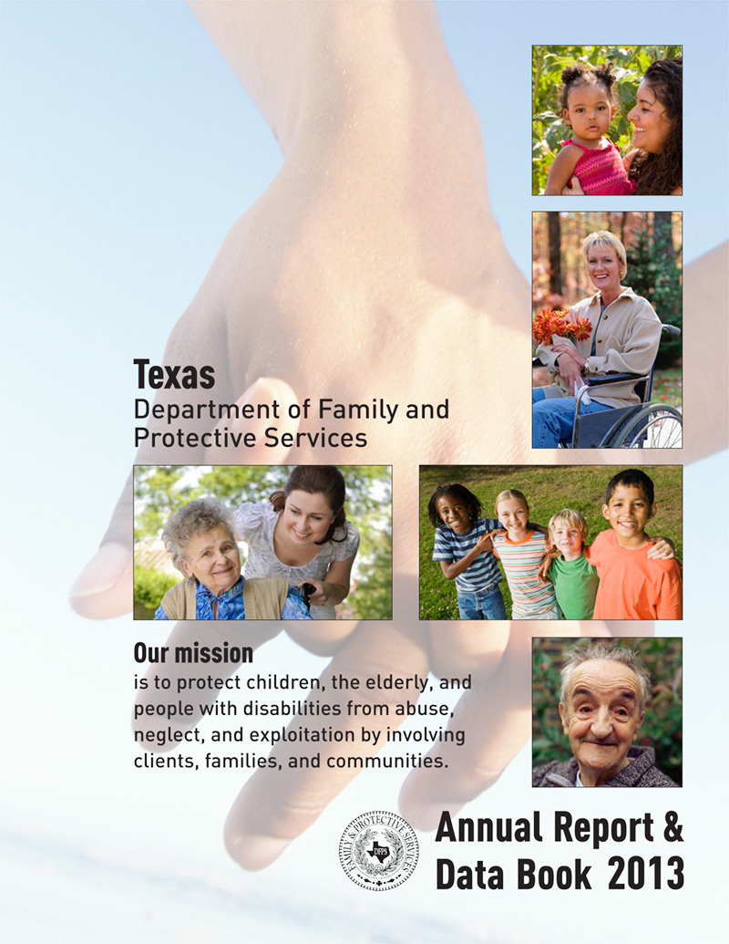 Cover of 2013 Annual Report and Data Book