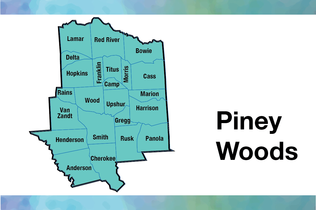 Piney Woods map, as described on the Piney Woods community area page