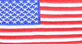 American flag icon