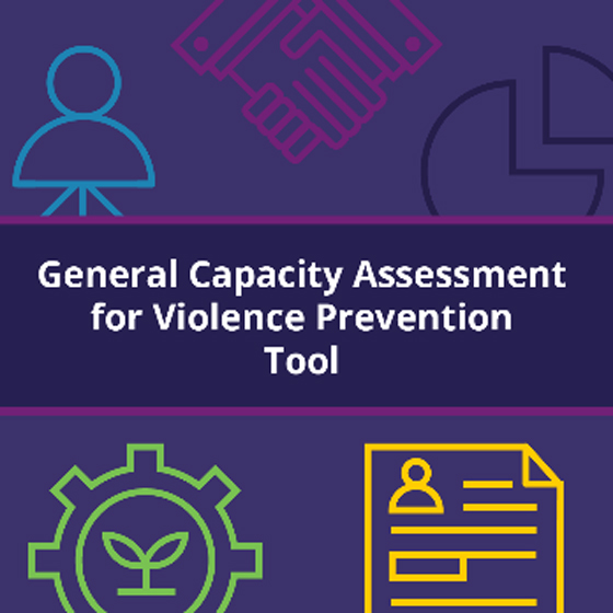 General Capacity Assessment for Violence Tool - purple cover with icons