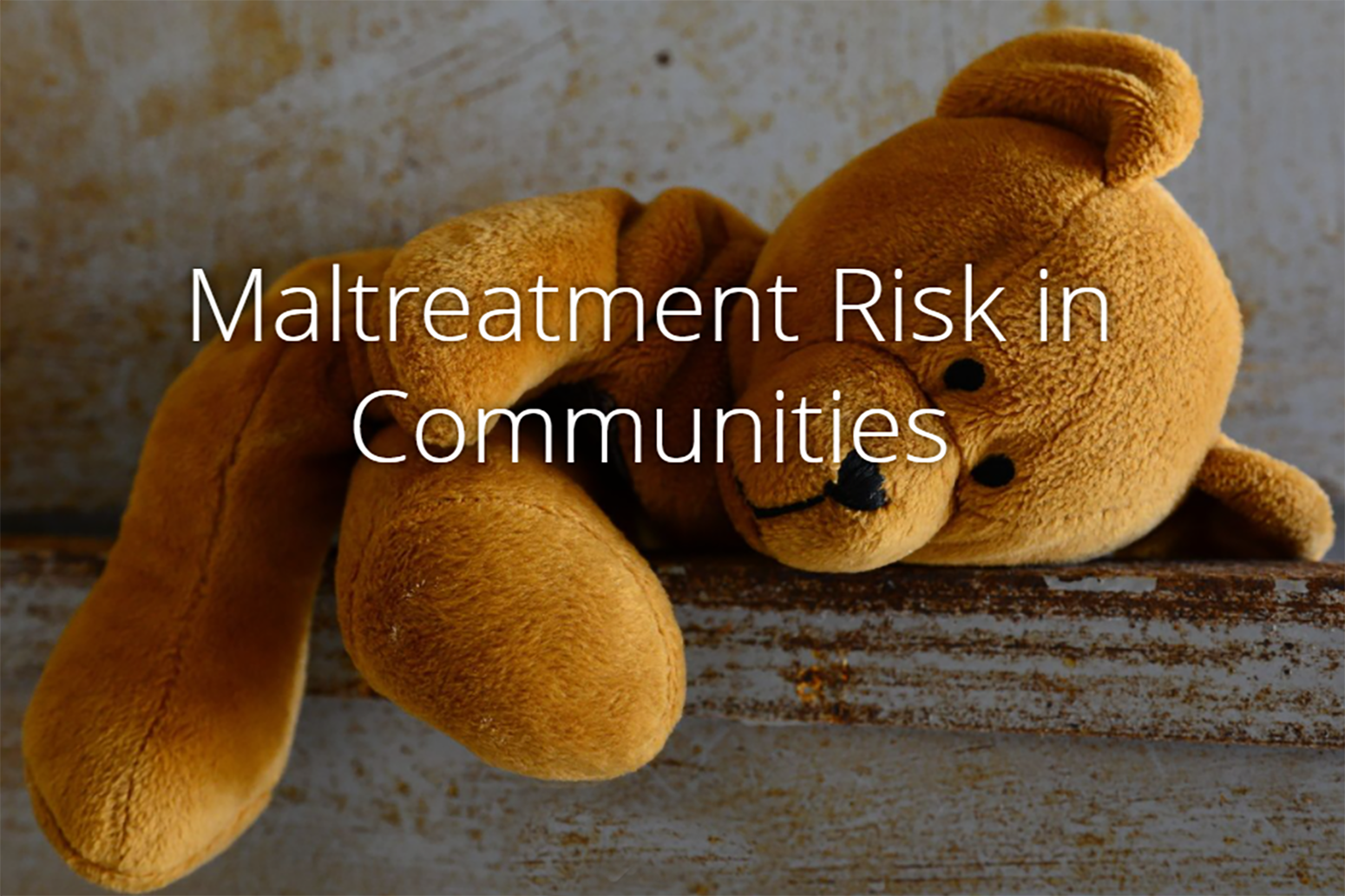 teddy bear, Malreatment Risk in Communities