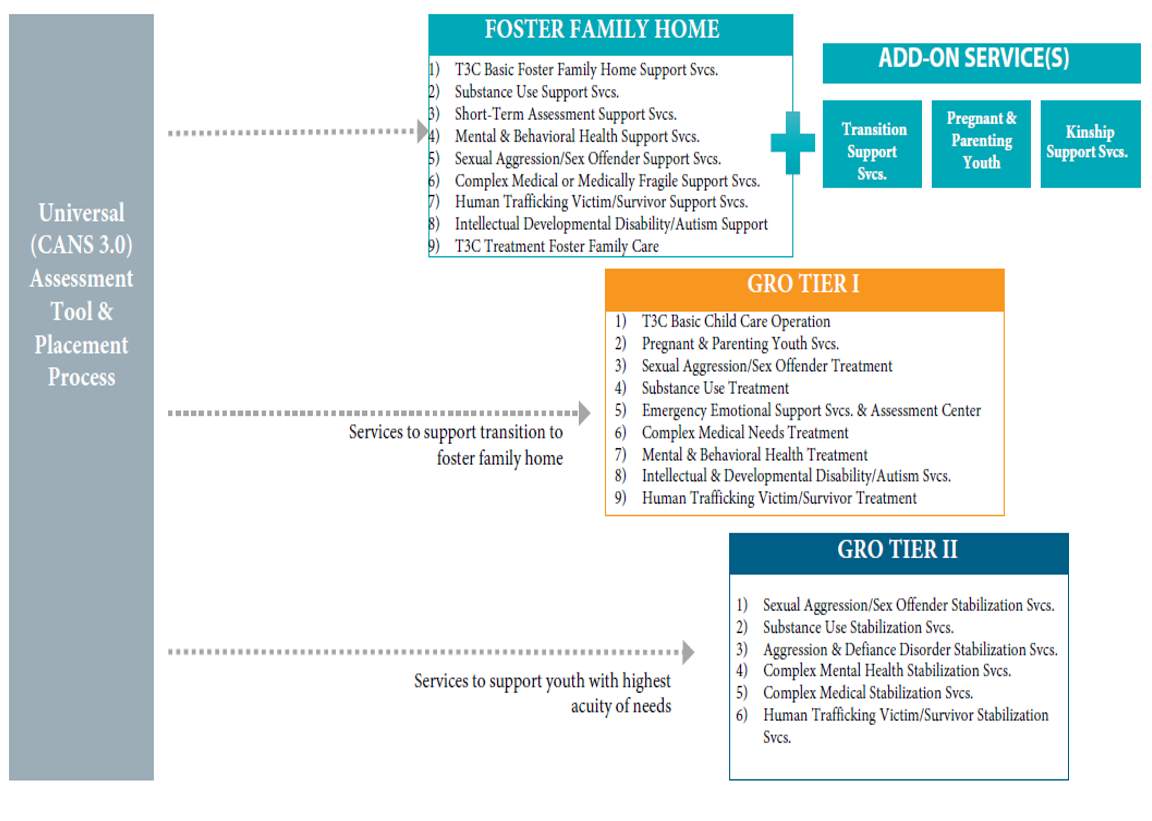 Foster Care Continuum and Service Array. See blueprint pdf